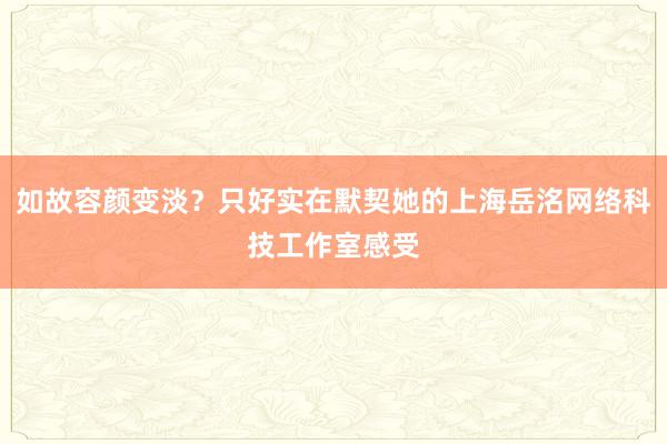 如故容颜变淡？只好实在默契她的上海岳洺网络科技工作室感受